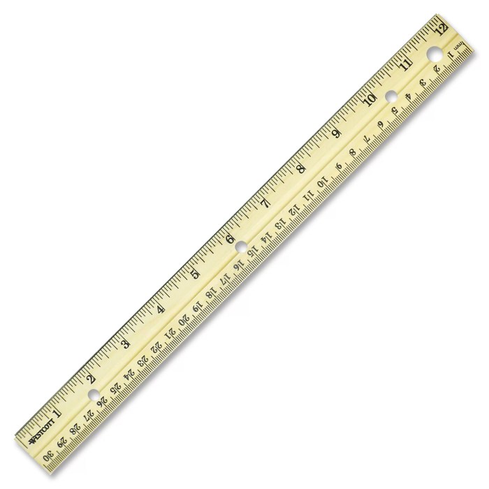 Metric ruler units for short