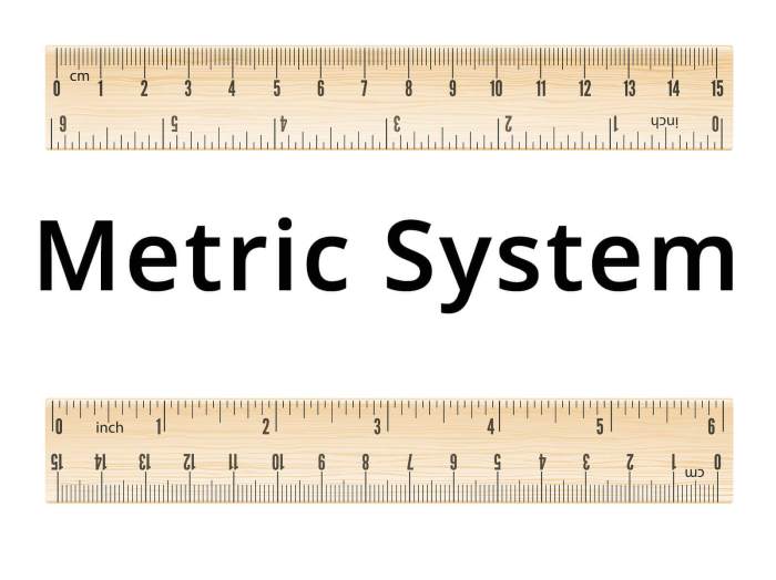 Metric ruler units for short