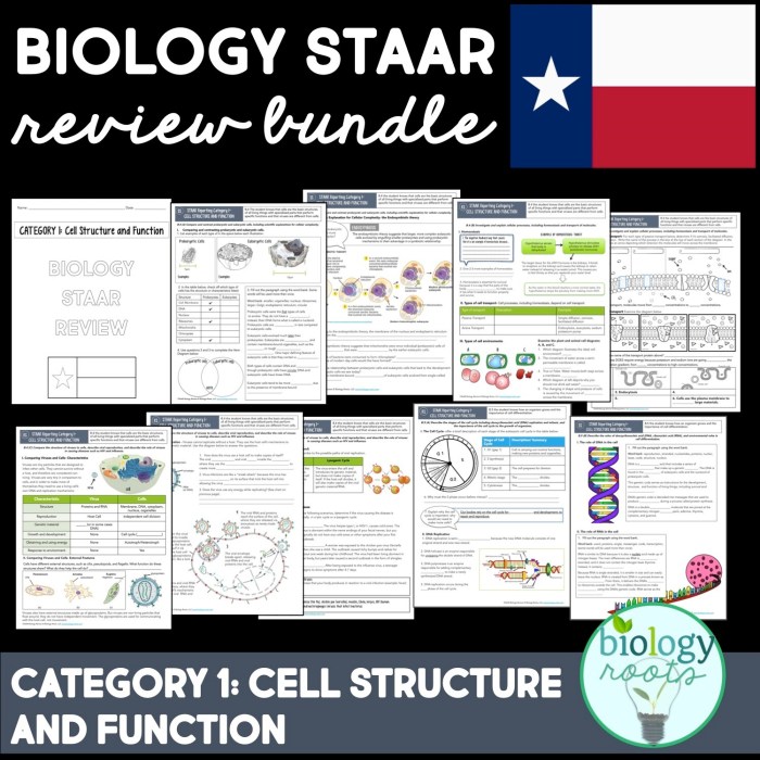 Staar reporting category 1 cell structure and function answer key