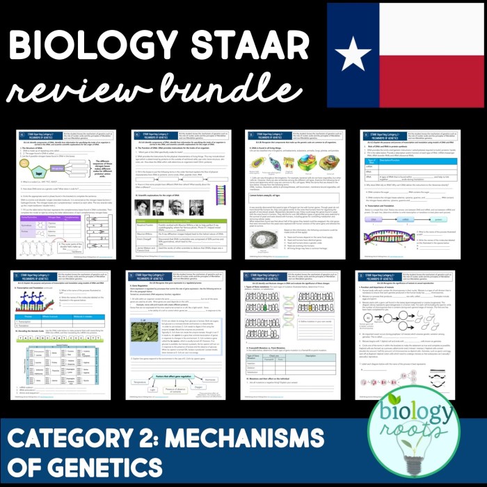 Staar reporting category 1 cell structure and function answer key