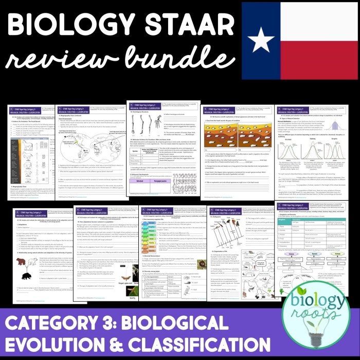 Staar reporting category 1 cell structure and function answer key