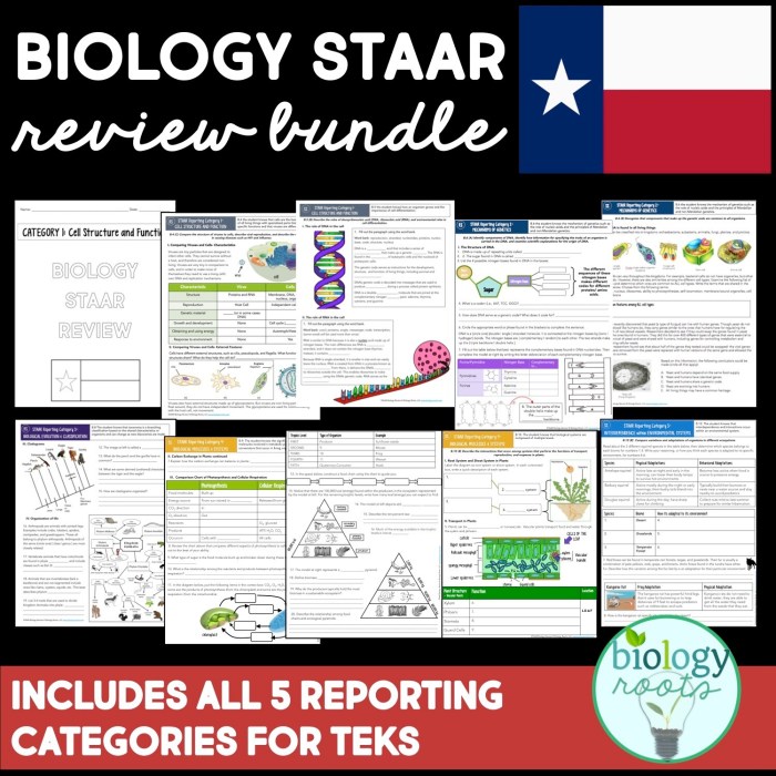 Staar reporting category 1 cell structure and function answer key