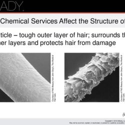 Chemical texture procedures involve changing the structure of the hair