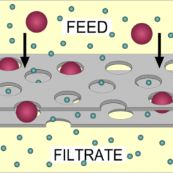 Which of the following statements about filtrate is incorrect